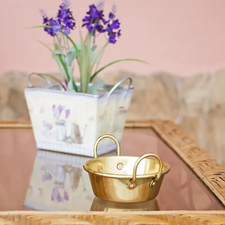 Refugio Da Burinhosa Country house *